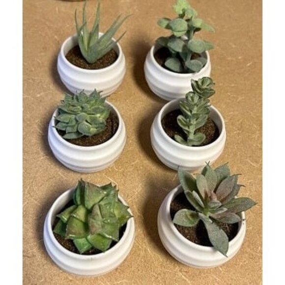 New Set of 6 Succulents Plants Artificial in Pots Small Fake Plants for Bedroom - Picture 1 of 2